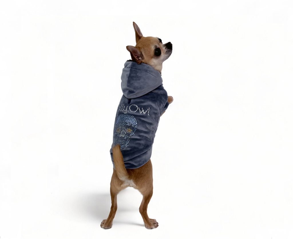 felpa per cani con cappuccio in ciniglia indossata da chihuahua