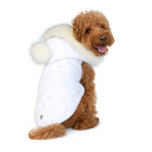 Cappottino di lusso bianco con Swarovski, indossato da un barboncino marrone – firmato HollyOwl.