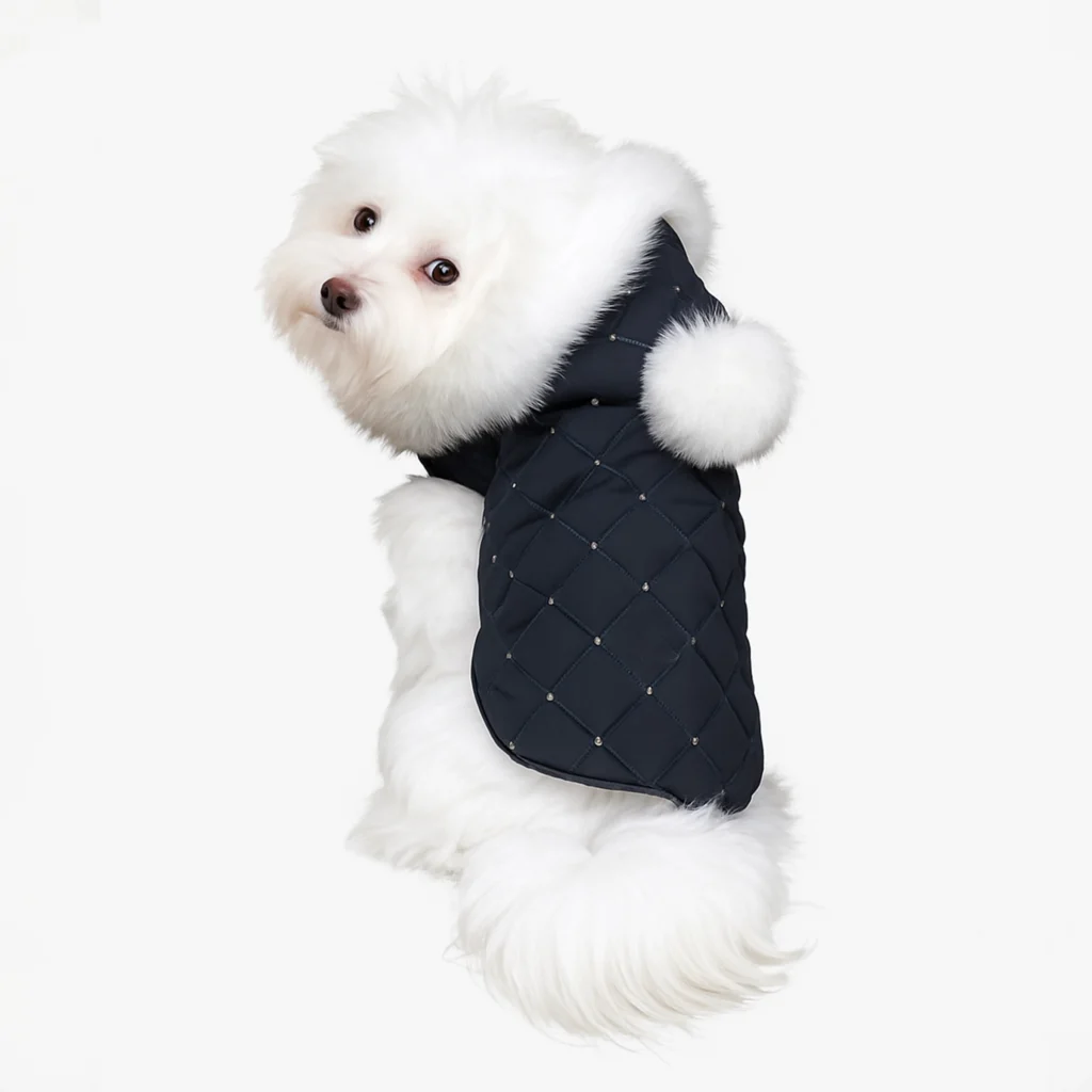 Cappottino sartoriale per cani color nero indossato da un Maltese - firmato Hollyowl