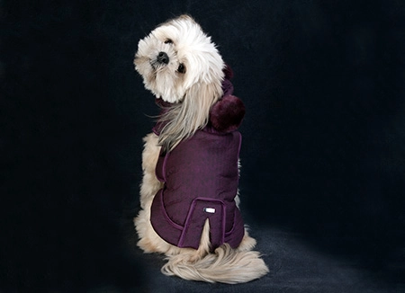 cagnolino Lhasa Apso di schiena e su sfondo nero che indossa elegantissimo impermeabile per cani di lusso di color vinaccia con dettagli eco-fur su cappuccio e pom-pom in tinta