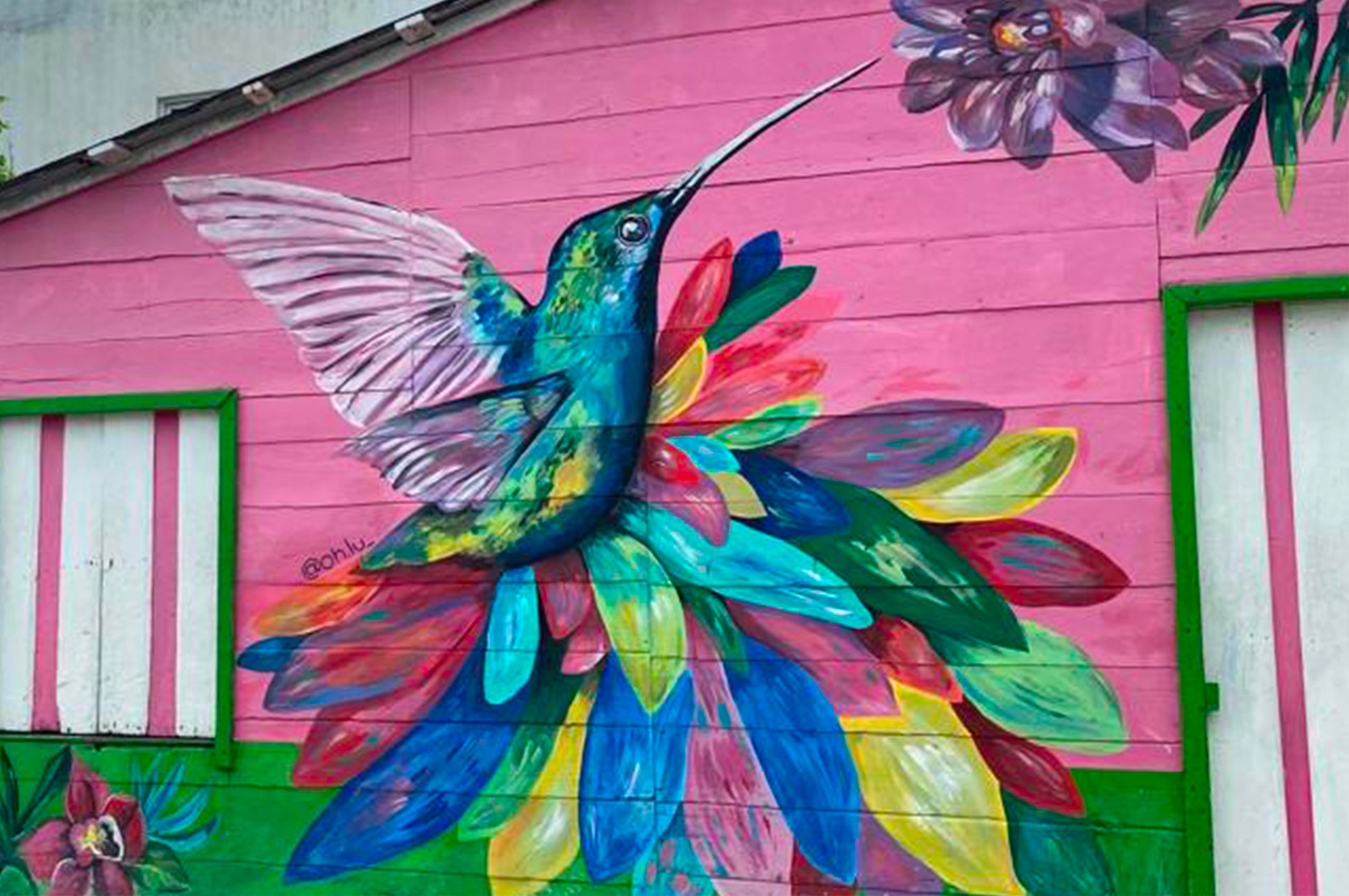 Pink wooden house with a large colorful hummingbird painting, source of inspiration for HollyOwl luxury dog brand.
