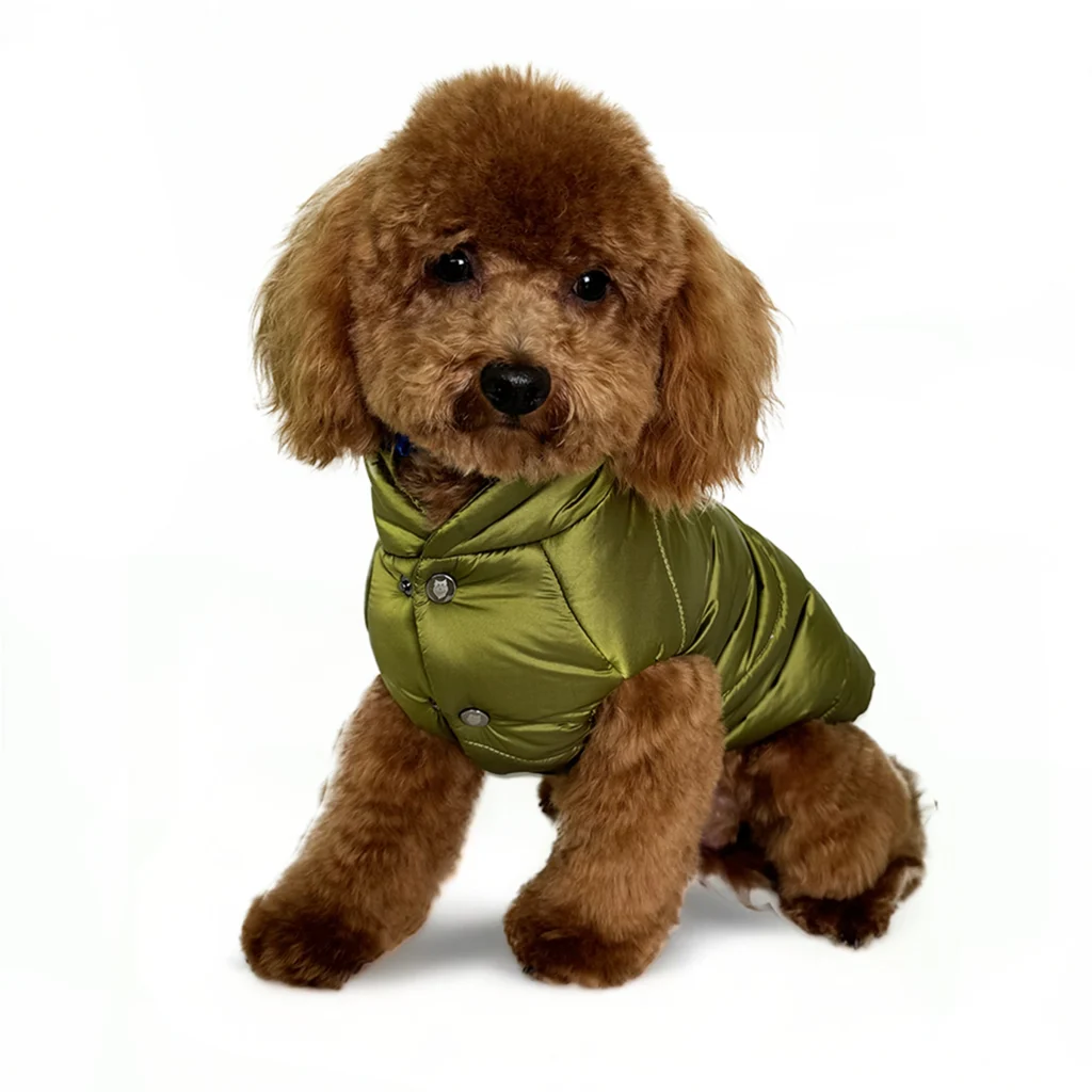 Cappotto piumino per cani verde oliva indossato da barboncino marrone - firmato Hollyowl.