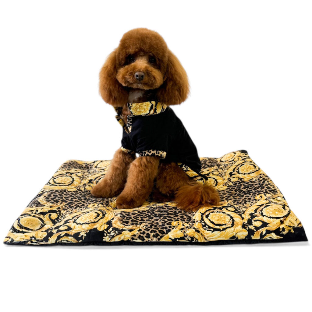Barboncino marrone seduto su tappetino da viaggio di lusso per cani in fantasia damascata nei toni dell'oro e del nero, rand HollyOwl