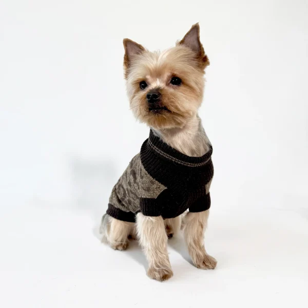 Luxurious Leopard Dog Sweater