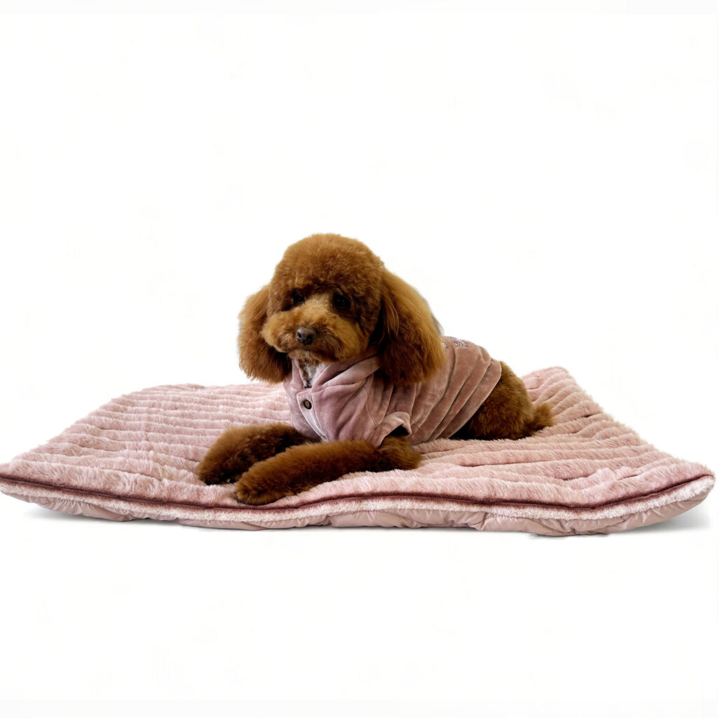 Tappeto di design da viaggio per cani di color rosa cipria e pelliccia ecologica della stessa nuance dove è seduto dolce barboncino marrone che indossa con felpa per cani rosa